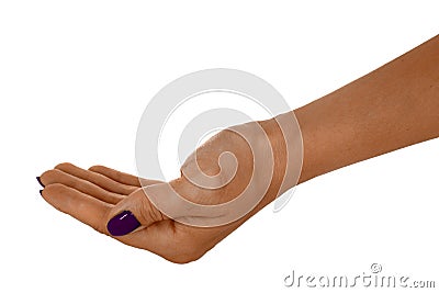 Palm up showing something, adult female's skin, magenta manicure. Isolated on white background Stock Photo