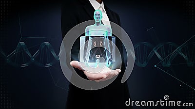 Palma abierta de la empresaria, riñones de exploración en cuerpo femenino opinión de la radiografía metrajes Palma abierta de la empresaria, riñones de exploración en cuerpo femenino opinión de la radiografía metrajes