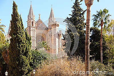 Palma Mallorca cathedral Santa Maria La Seu front view rose window palm trees Stock Photo