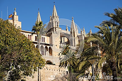 Palma Mallorca cathedral Santa Maria La Seu side view palm trees blue sky sunny Stock Photo