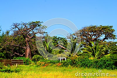 Palmarin, in the heart of Sine Saloum delta in Senegal Stock Photo