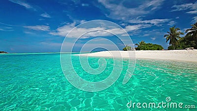 Palmen über Lagune mit weißem Strand in Malediven stock video Palmen über Lagune mit weißem Strand in Malediven stock video