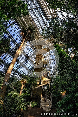 Palmenhaus schonbrunn staircase Editorial Stock Photo