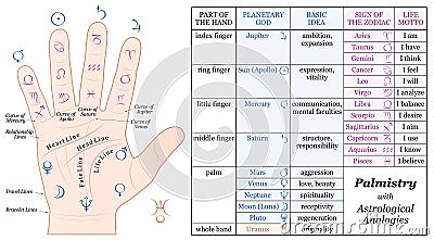 Palmistry Astrology Basic Analogies Chart Vector Illustration