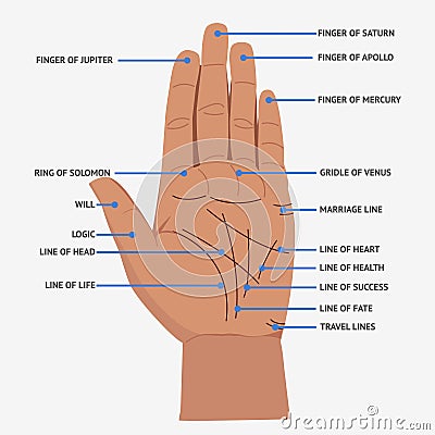 Palmistry. Open hand lines and symbols mystical reading illustration Cartoon Illustration