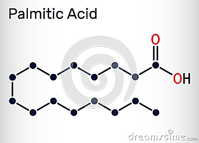 Palmitic acid or hexadecanoic, C16H32O2 molecule. It is saturated fatty acid. Structural chemical formula Vector Illustration