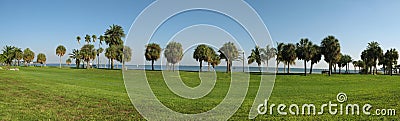 Palms along Florida coastline Stock Photo