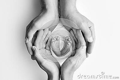 The palms of the father, the mother are holding the foot of the newborn baby. Stock Photo