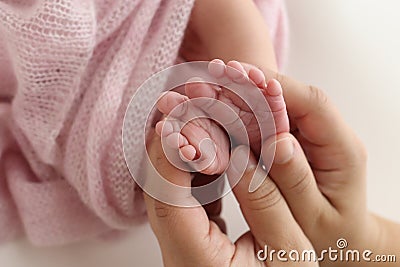 The palms of the father, the mother are holding the foot of the newborn baby Stock Photo