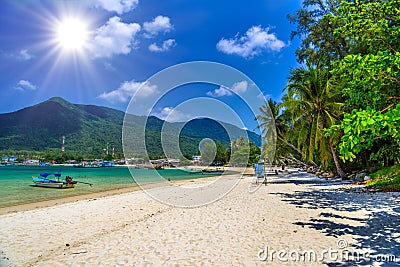 Palms and sand on Malibu Beach, Koh Phangan island, Suratthani Stock Photo