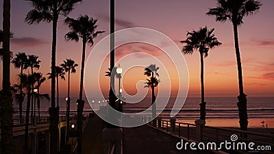 Palms and twilight sky in California USA. Tropical ocean beach sunset atmosphere. Los Angeles vibes. Stock Photo