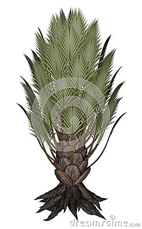 Palmtree, palm tree - 3D render Stock Photo