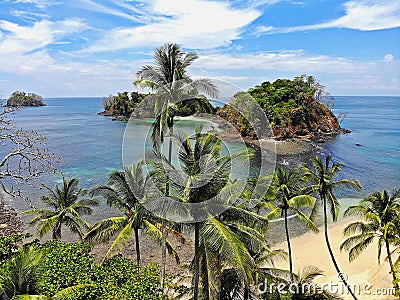 Palmtrees on the tropical beaches of Panama Stock Photo