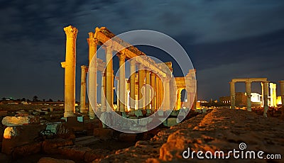 Palmyra Stock Photo