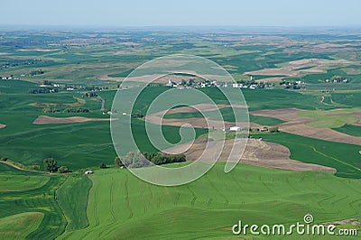 Palouse wheat fields Stock Photo