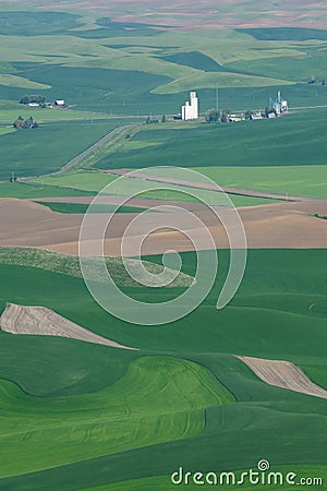 Palouse wheat fields Stock Photo