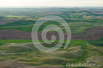 Palouse wheat fields Stock Photo