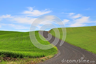 Palouse wheat fields Stock Photo