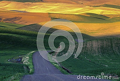 Palouse wheat fields and road Stock Photo