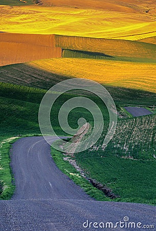 Palouse wheat fields and road Stock Photo