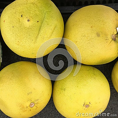 The Pamelo, Citrus maxima is the original citrus. Stock Photo