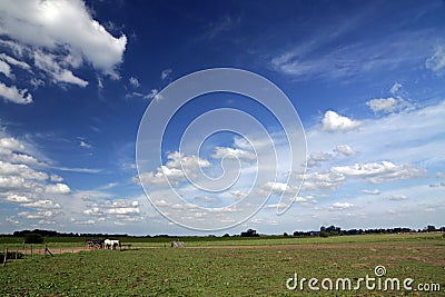 Pampas, close to Estancia Susana Stock Photo