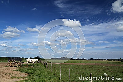 Pampas, close to Estancia Susana Stock Photo