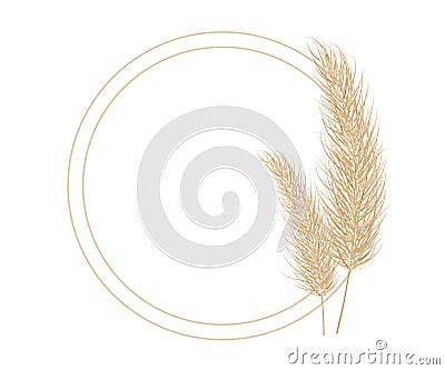 Pampas dry grass circle frame. Branch of pampas grass. Panicle, feather flower head. Vector Vector Illustration