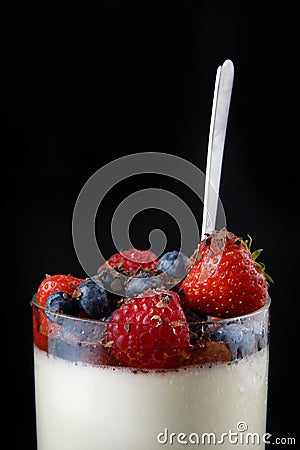 Panakota creamy Italian dessert in a glass cup with berries and chocolate chips on top Stock Photo