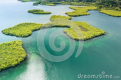 Panama. Tropical Island Aerial View. Wild coastline, Bocas del Toro, Central America, Panama. Stock Photo