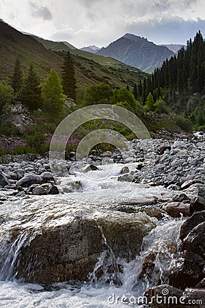 Panarama of mountain river valley Stock Photo