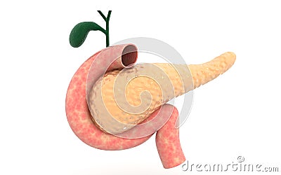 Pancreas Cartoon Illustration