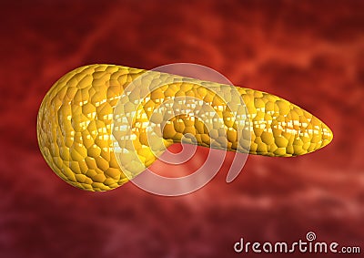 Pancreas, human body organ isolated on scientific background Stock Photo