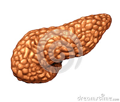 Pancreas Human Organ Cartoon Illustration