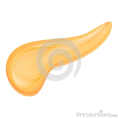 Pancreas icon, cartoon style Vector Illustration