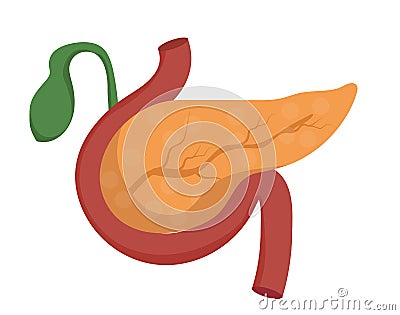 Pancreas icon in cartoon style isolated on white background. Organs symbol stock vector illustration Vector Illustration
