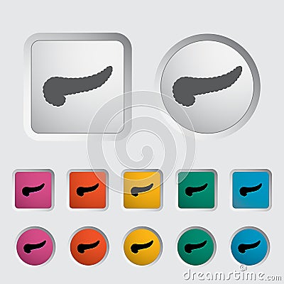 Pancreas icon. Vector Illustration