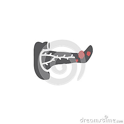 Pancreas icon Vector sign for web graphic Vector Illustration