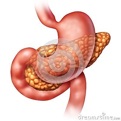 Pancreas Medical Concept Cartoon Illustration