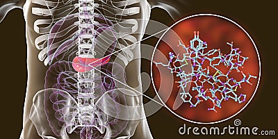 Pancreas producing insulin hormone, conceptual image Cartoon Illustration