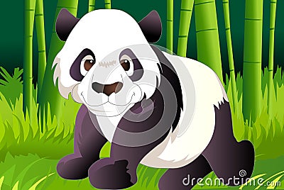 Panda Stock Photo