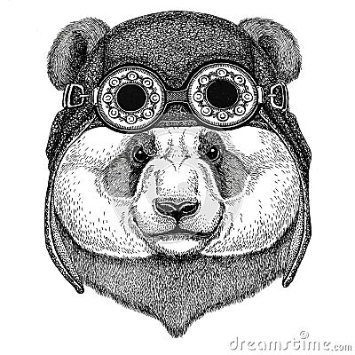 Panda bear, bamboo bear wearing aviator hat Motorcycle hat with glasses for biker Illustration for motorcycle or aviator Vector Illustration