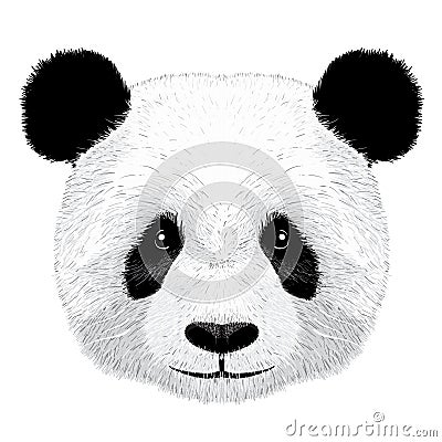 Panda Vector Illustration