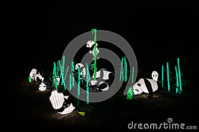 Panda chinese lanterns light show color night Stock Photo