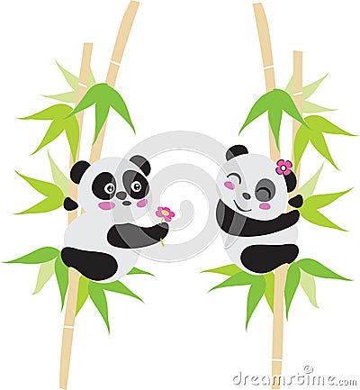Panda Love Stock Photo