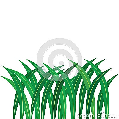 Pandan leaf illustration icon free Vector Illustration