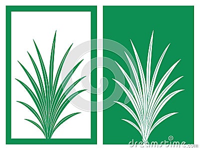 Pandan vector and illustration Vector Illustration