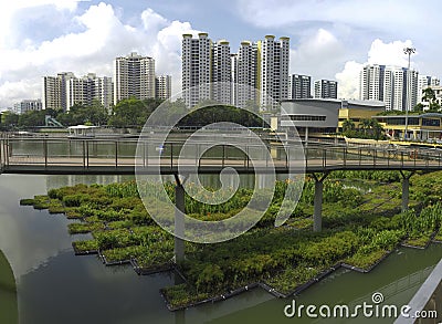 Pang Sua Pond in Bukit Panjang, Singapore Stock Photo