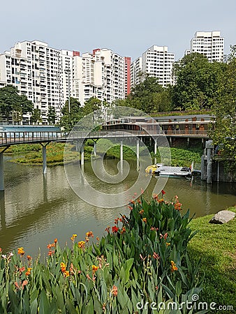 Pang Sua Pond in Bukit Panjang, Singapore Stock Photo