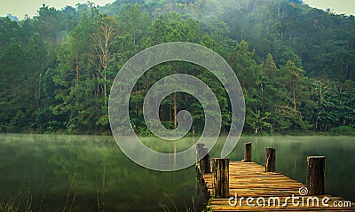 Pang-ung, pine forest park Stock Photo